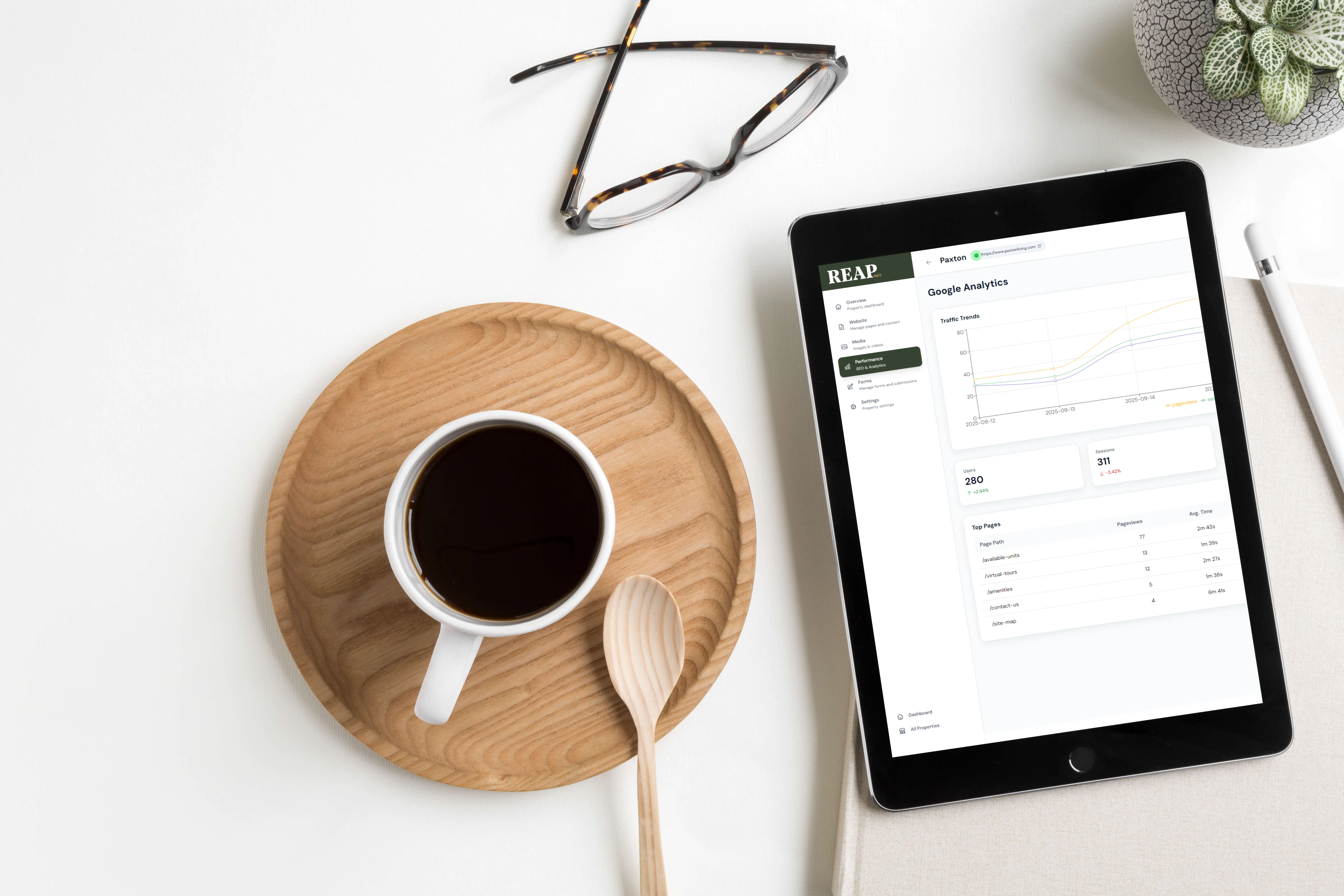 Reap Capital Dashboard - Analytics View